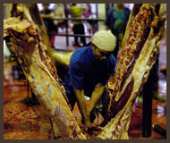 Splitting Carcase
